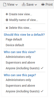 Snapshot of the new view dropdown with the option to control who can see views and pages.